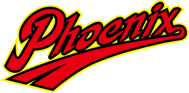 多度フェニックス試合結果 一覧